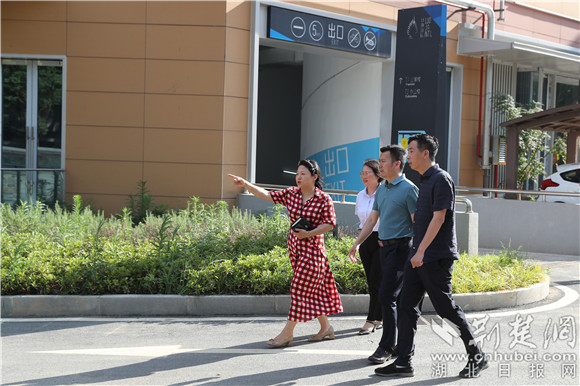 实地察看项目周边环境（邓洲 摄）.jpg