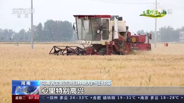 在希望的田野上·三夏时节丨我国三夏麦收进度过半 荆楚网 湖北日报网 0816