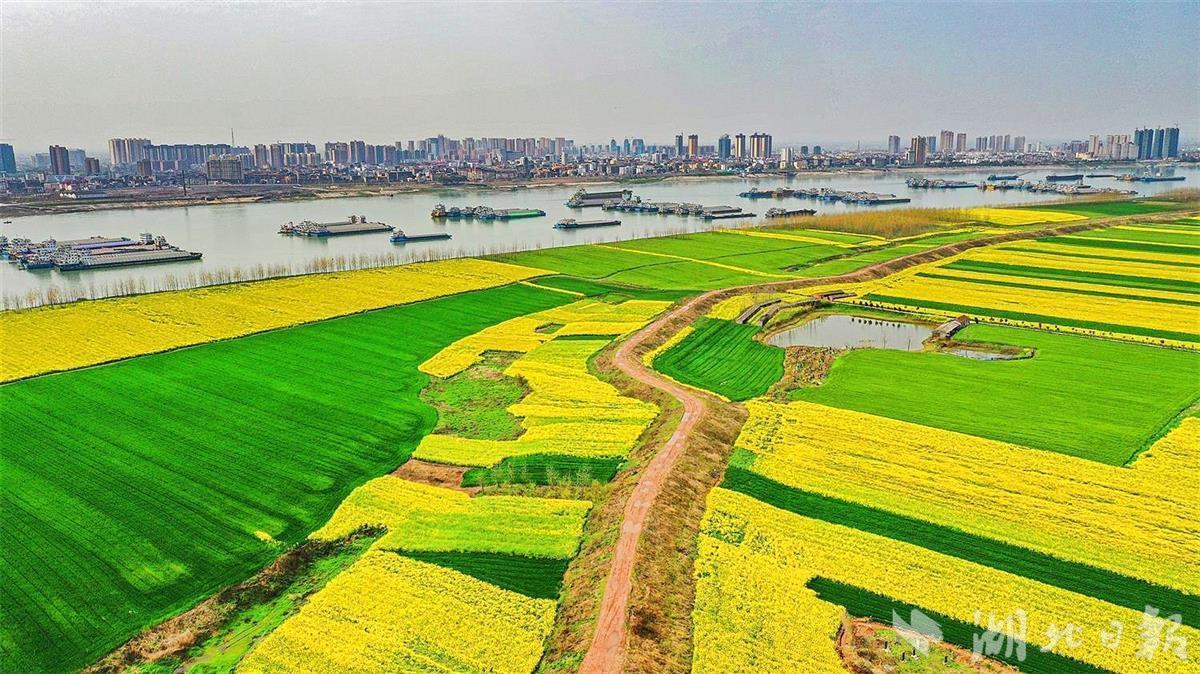 走进江陵县马家寨乡长江村,由老砖瓦厂礼堂改造而来的电影院里循环