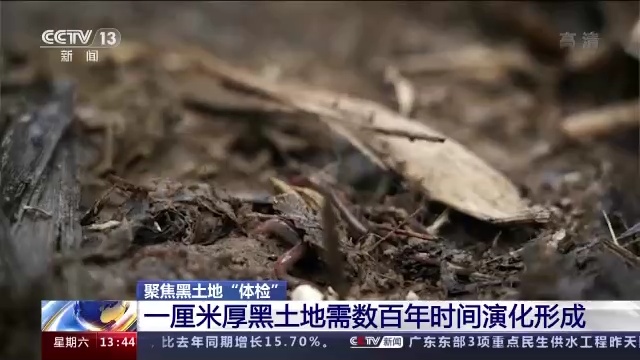 什么是黑土地 aa46c88d69f38fe198d8fcabd81e841a.jpeg