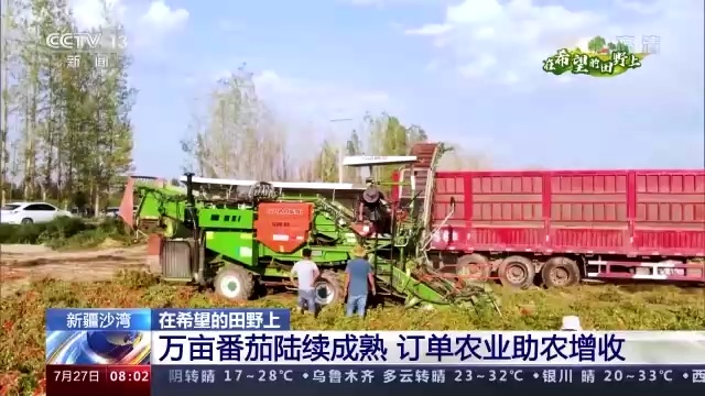 宿迁农业的发展与挑战：一部绿色产业新篇章