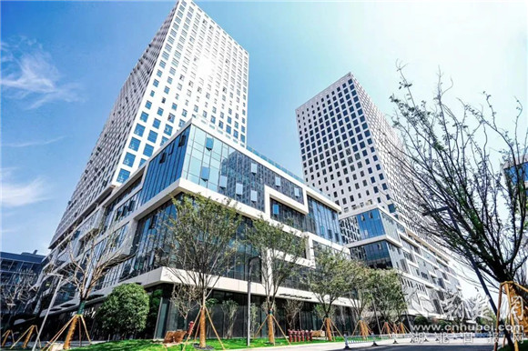 中储科技落户洪山.jpg