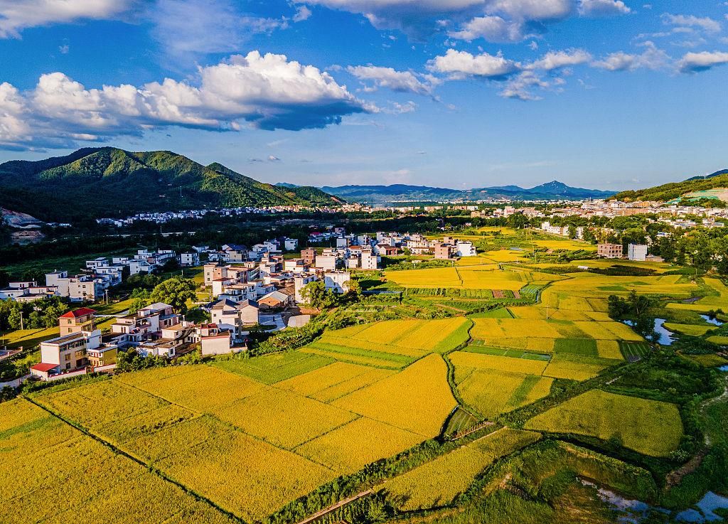 稻菽千重浪丨中国要美，农村必须美