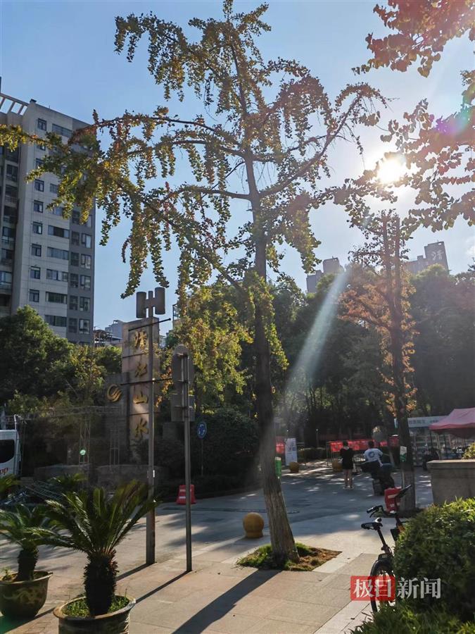 极目帮办小区地下车位只卖不租地上停车又一位难求律师：按物管条例规定“应当出租”