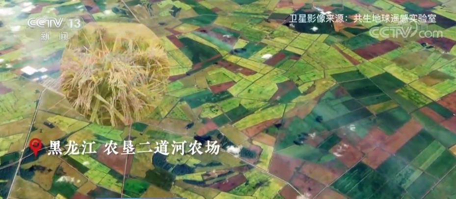中国农民丰收节 | 卫星“瞰”丰收