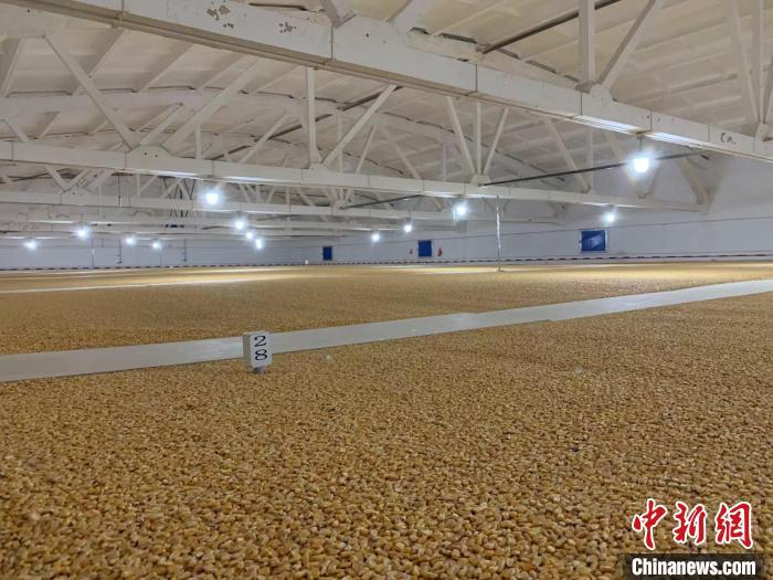 探访“大国粮仓”：粮食入住“智能空调房” 舒适过四季 荆楚网 湖北日报网 