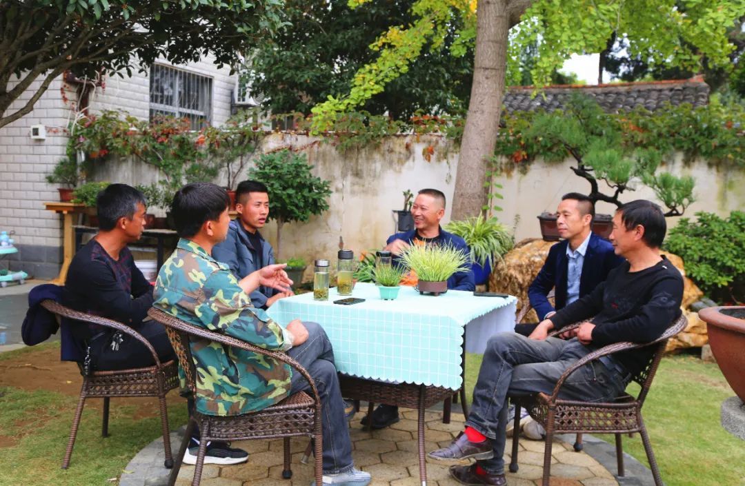 孝昌：小苗泛亚电竞木大作为 乡村振兴大产业(图2)