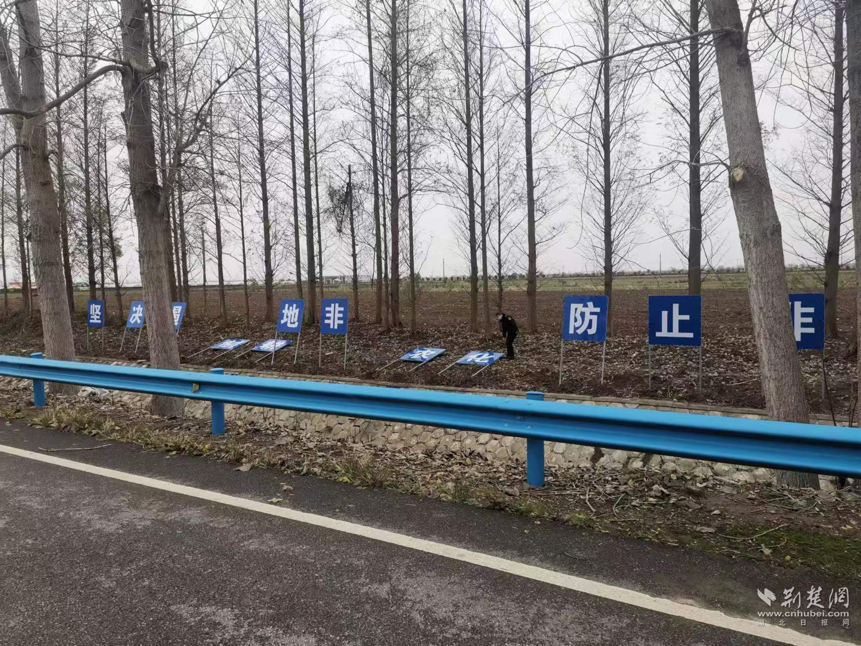 图片2.png.png