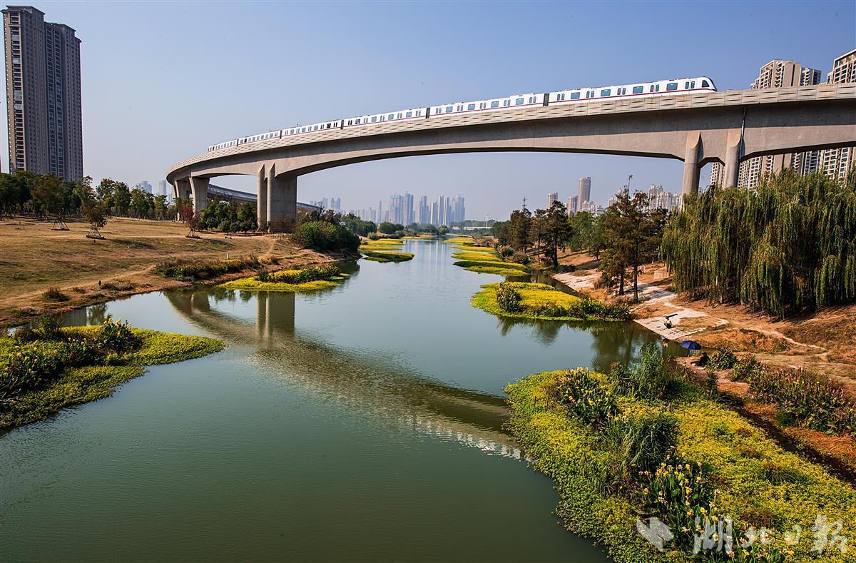 清淤治理，白沙洲青菱河变花园！