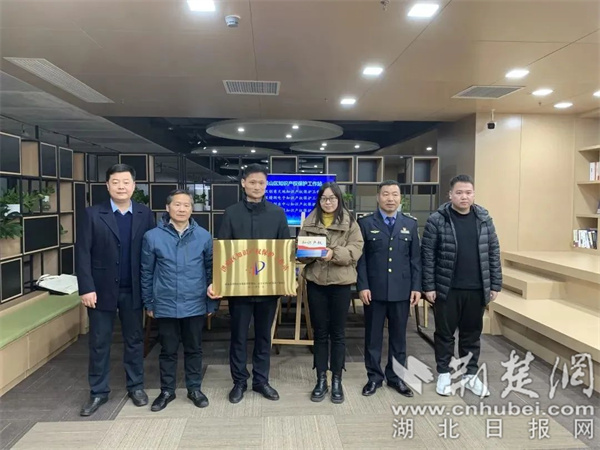 洪山区成立4家区级知识产权保护工作站（供图：涂航标）.jpg