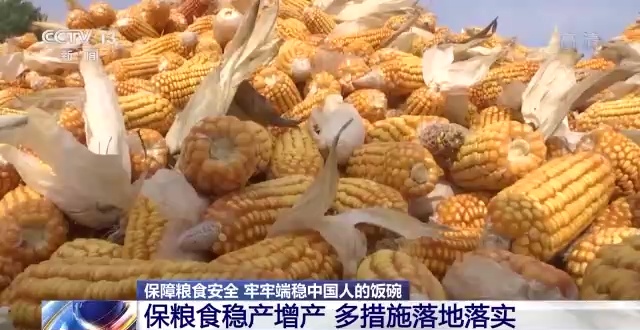 保障粮食安全牢牢端稳中国人的饭碗