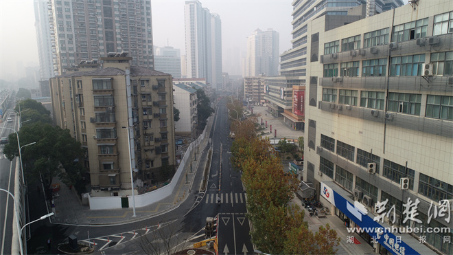 珞珈山路航拍（摄影：王峰）.jpg