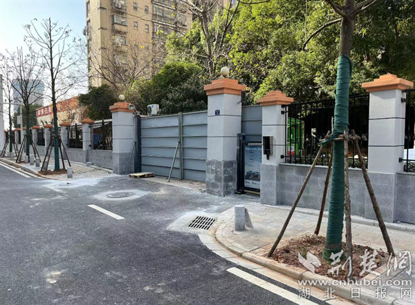桂湖东路（浅水湾路—洪山实验外国语中学）道路已经提前开放交通.png.png