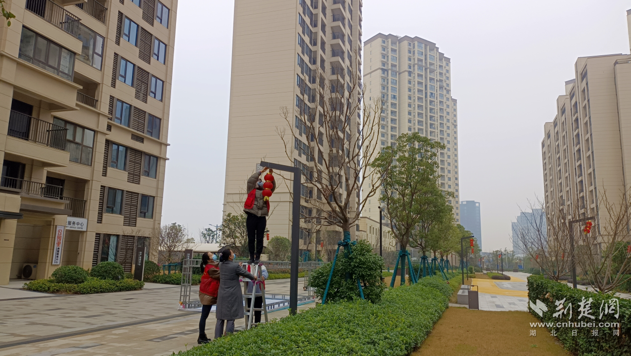 图片5.png.png
