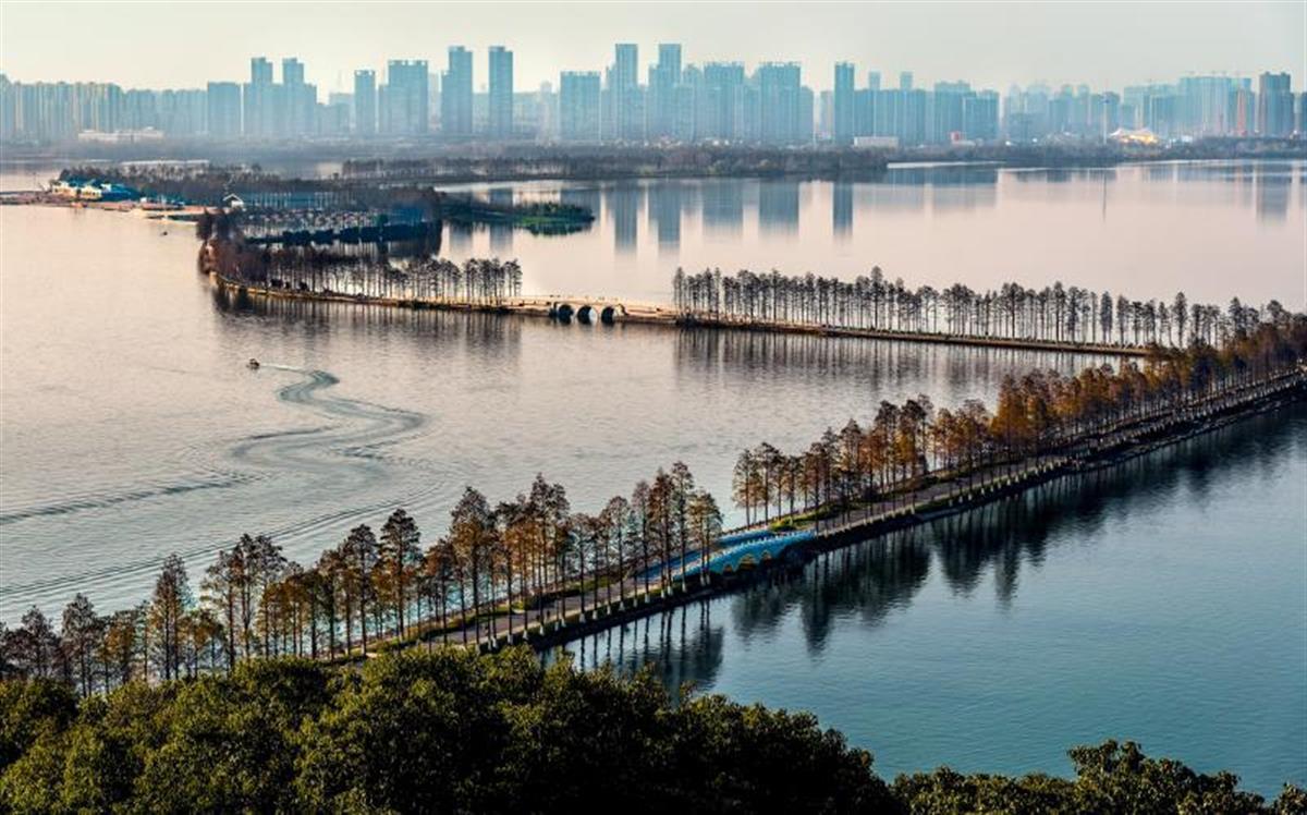 冲刺“千园之城”，武汉将新改建各类公园100座