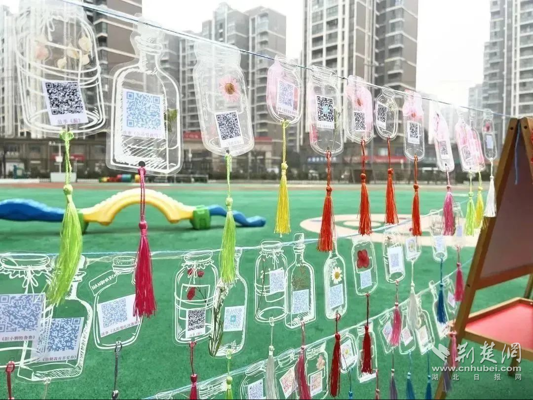 图片5.png.png