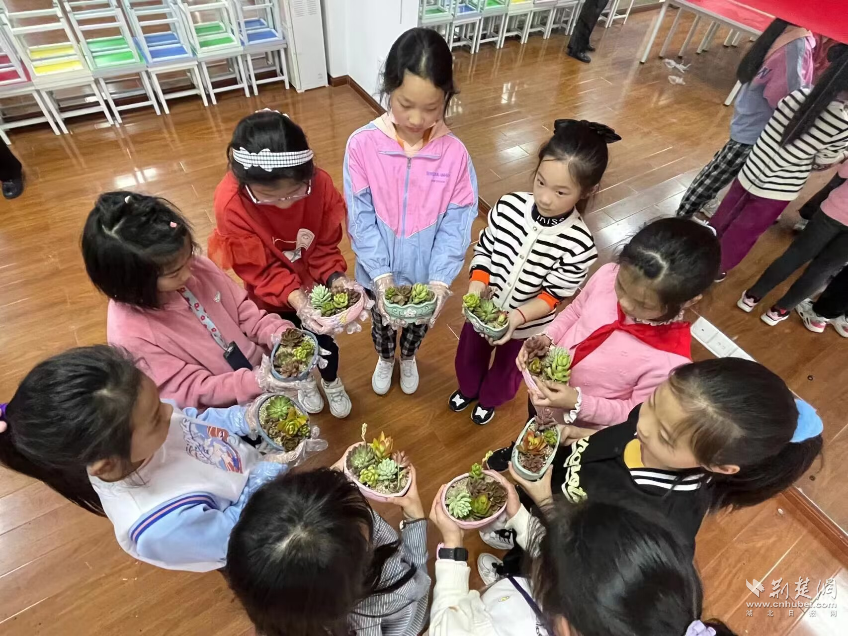 图片24.png.png
