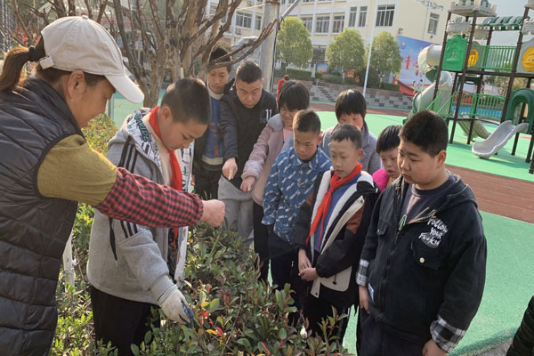 兴山特校：“花圃课堂”让学生变身“护绿”小达人(图1)