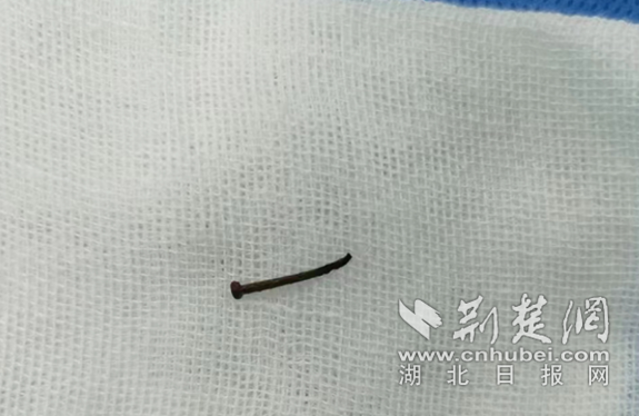 微信截图_20230331163950_副本.png.png