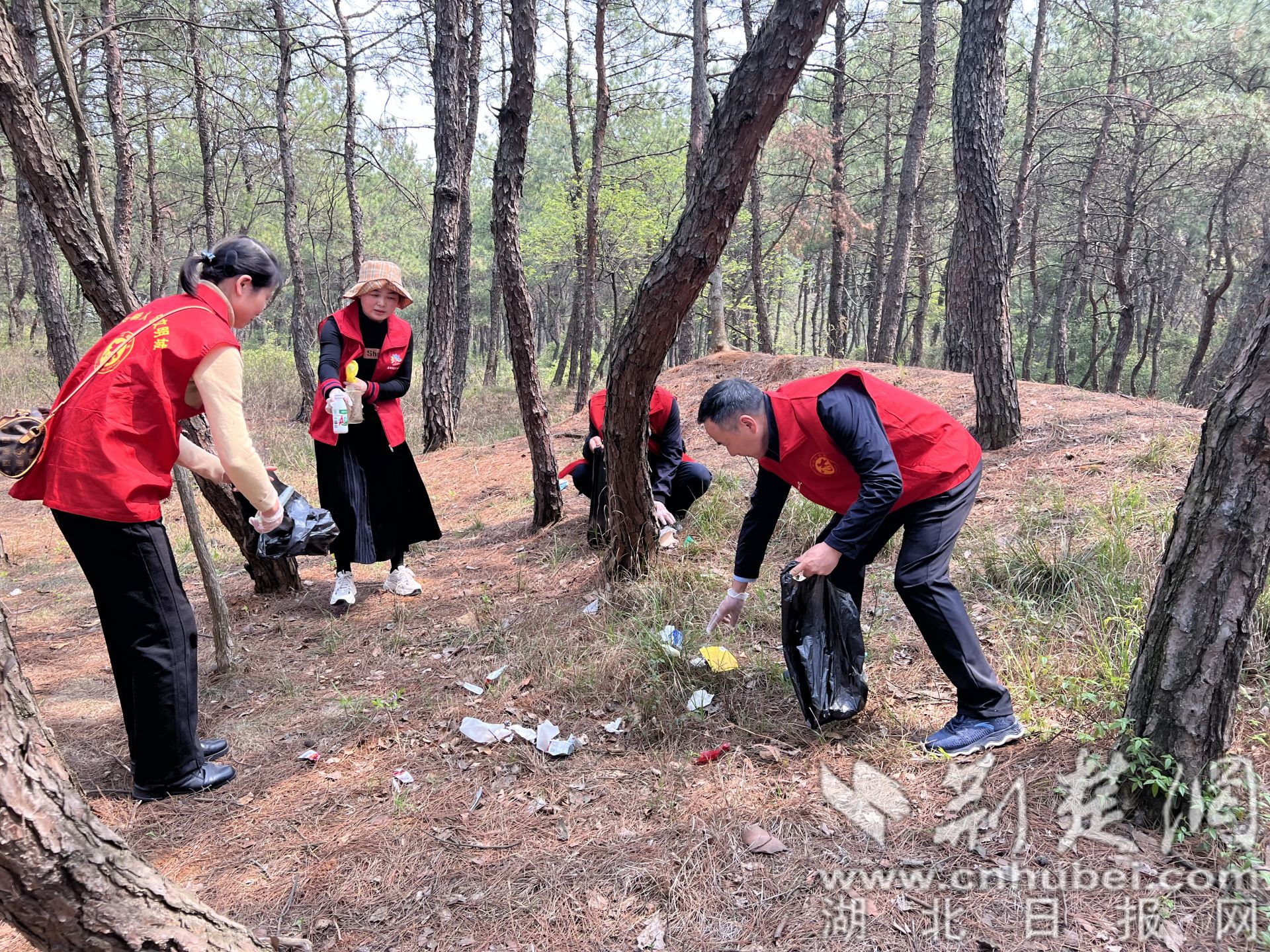 志愿者在有名店林场清理垃圾.jpg.jpg