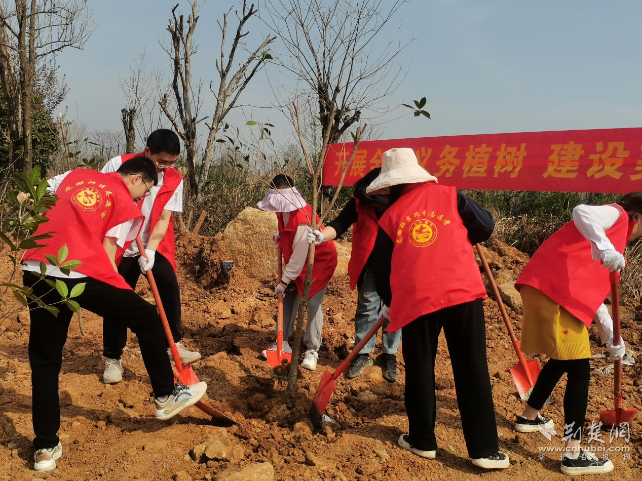图片19.png.png