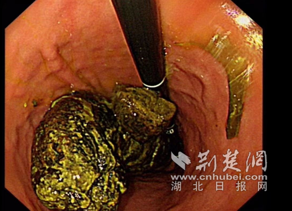 微信截图_20230330085122_副本.png.png