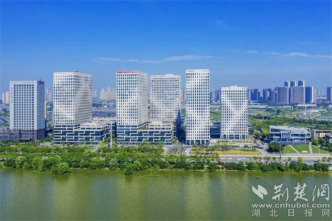 中心城区第一！洪山区新增省级专精特新中小企业42家.jpg