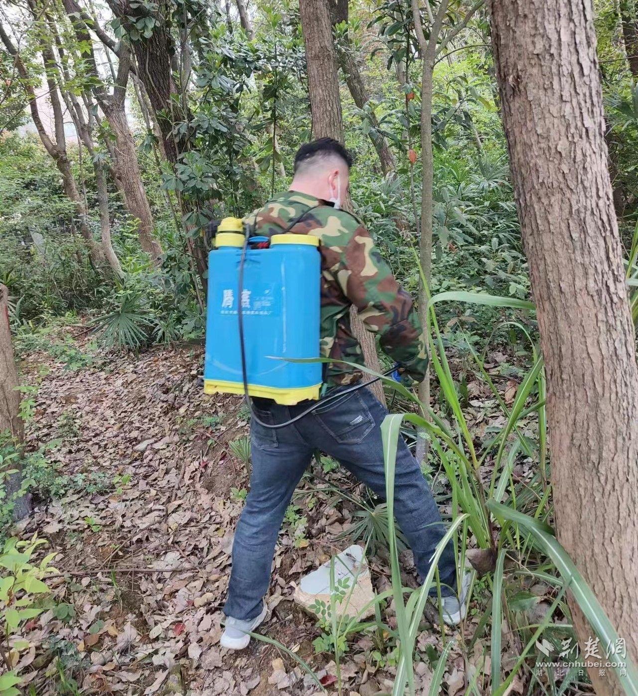 逐一排查以往白蚁的筑巢点位1.jpg.jpg