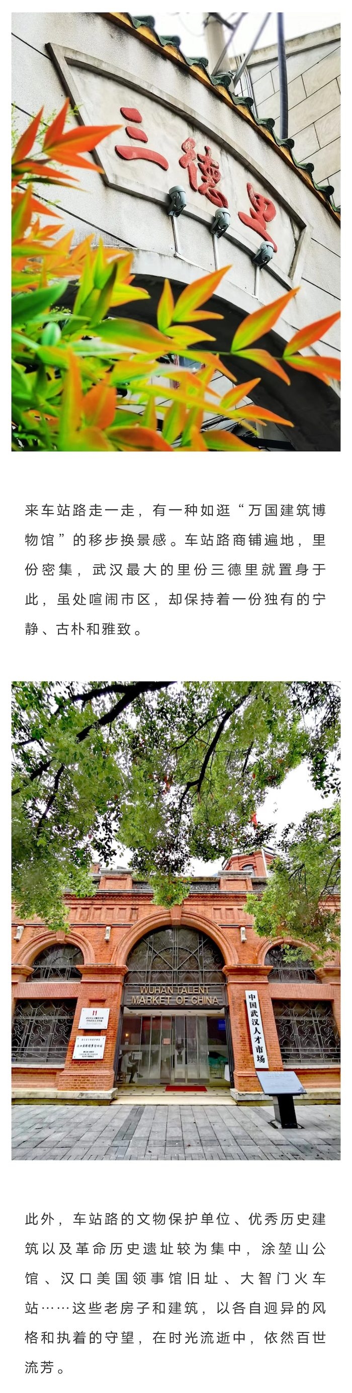 IMG_1572.PNG.PNG