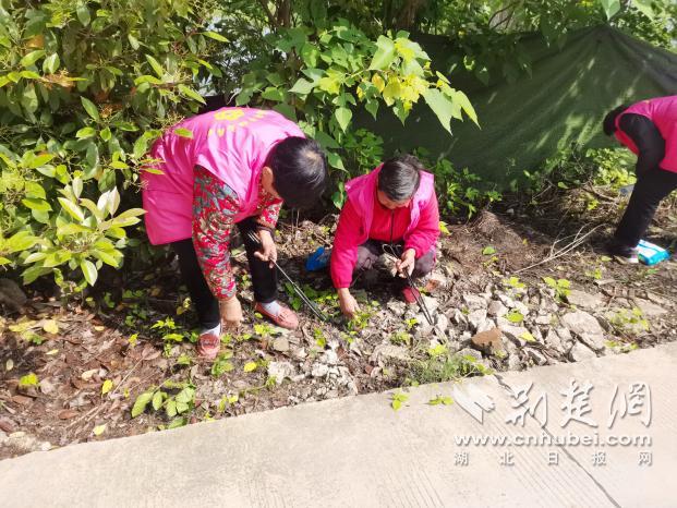 图片45.png.png