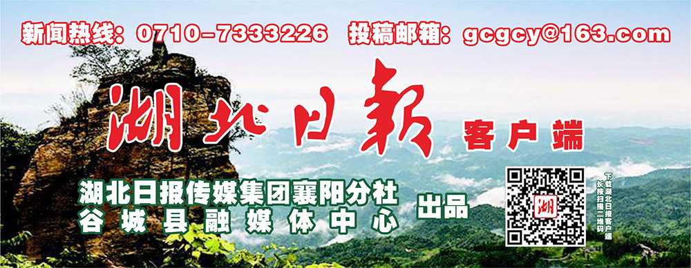 谷城：加大精准服务力度 推动企业更快发展