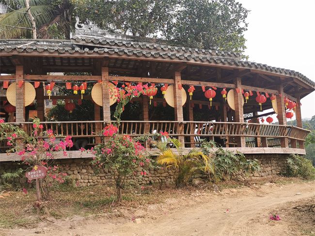 【中国有约开云 开云体育】海南毛纳村：以茶融旅 踏出乡村振兴新路子(图4)