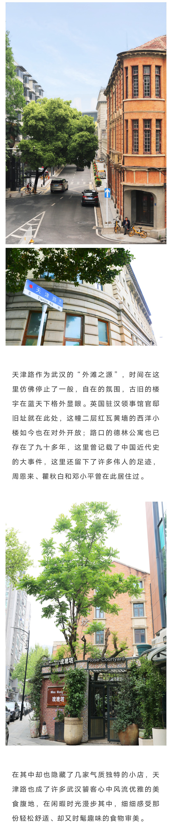 IMG_1568.PNG.PNG