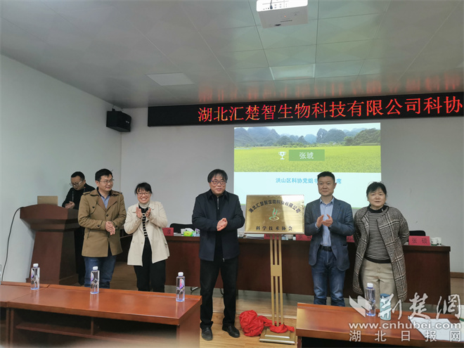 科技赋能 助力发展 洪山区企业科协再添新力量.jpg