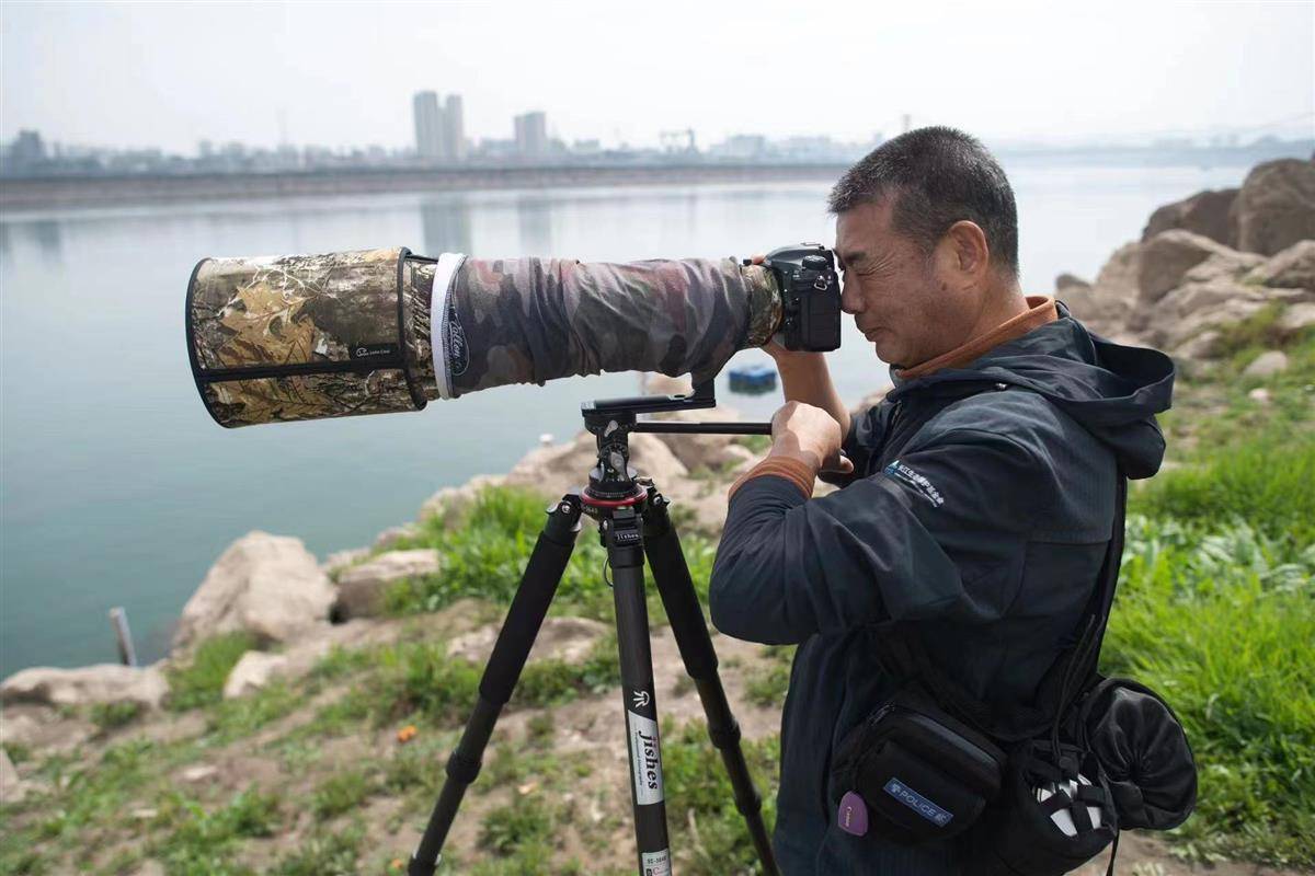 泛亚电竞行走在长江边的生态摄影师杨河：江豚“能见度”越来越高长江生态环境在持续向好(图2)