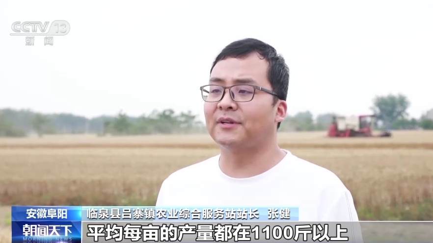 小麦、马铃薯、九游会J9 J9九游会金银花都丰收啦！(图2)
