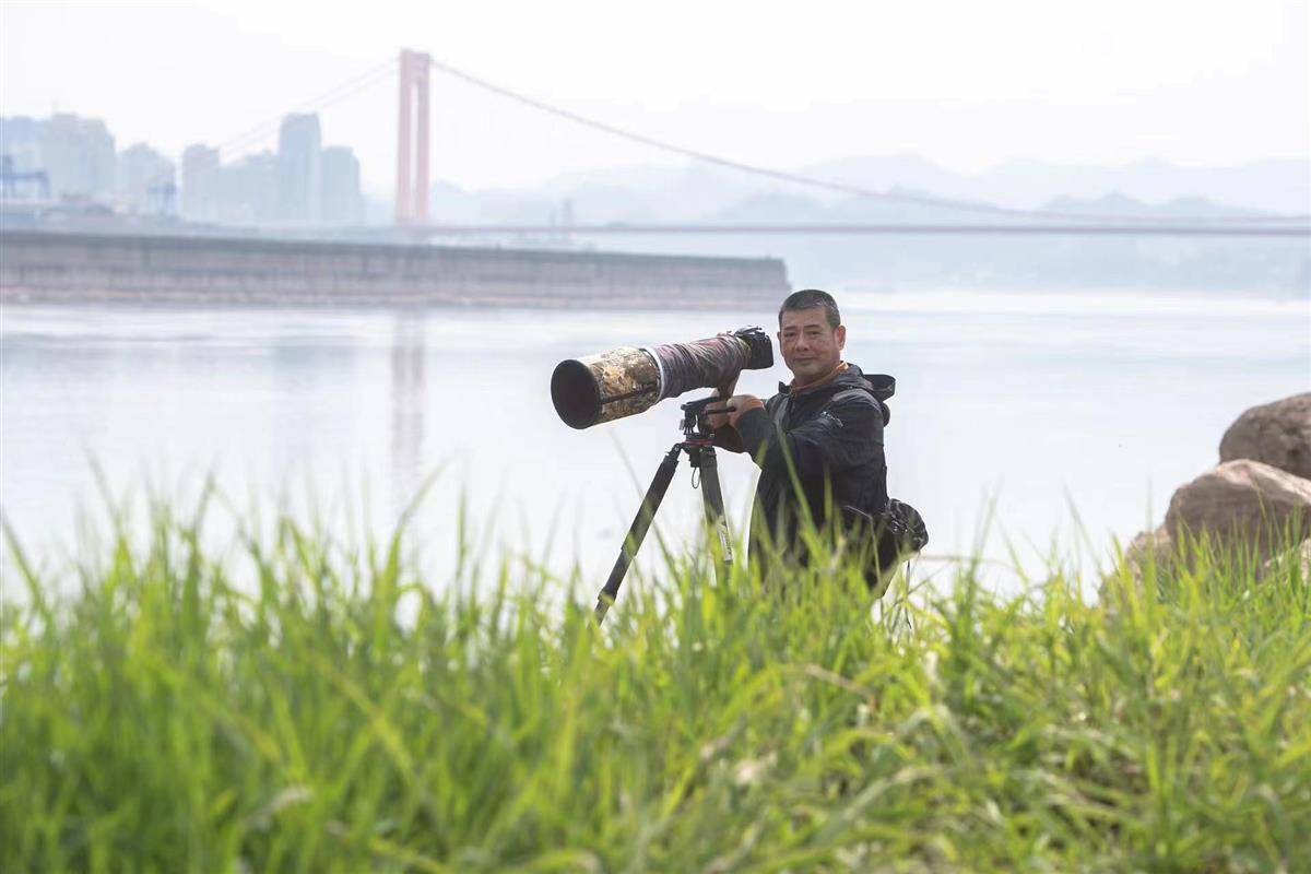 泛亚电竞行走在长江边的生态摄影师杨河：江豚“能见度”越来越高长江生态环境在持续向好(图4)