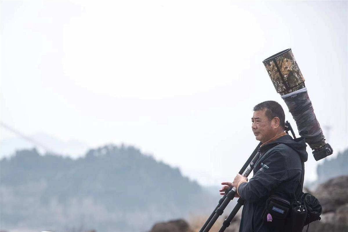 泛亚电竞行走在长江边的生态摄影师杨河：江豚“能见度”越来越高长江生态环境在持续向好(图1)