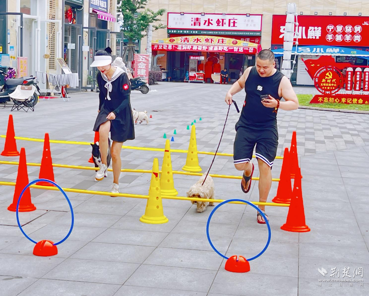 图片1.png.png
