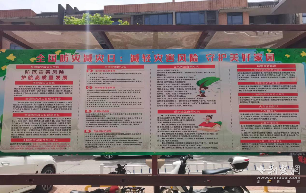 图片9.png.png