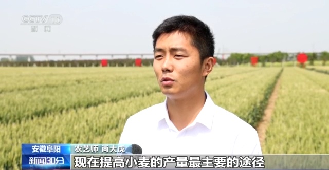 九游会J9 J9九游会小满将至麦收忙 各地加强田间管理备战麦收(图3)