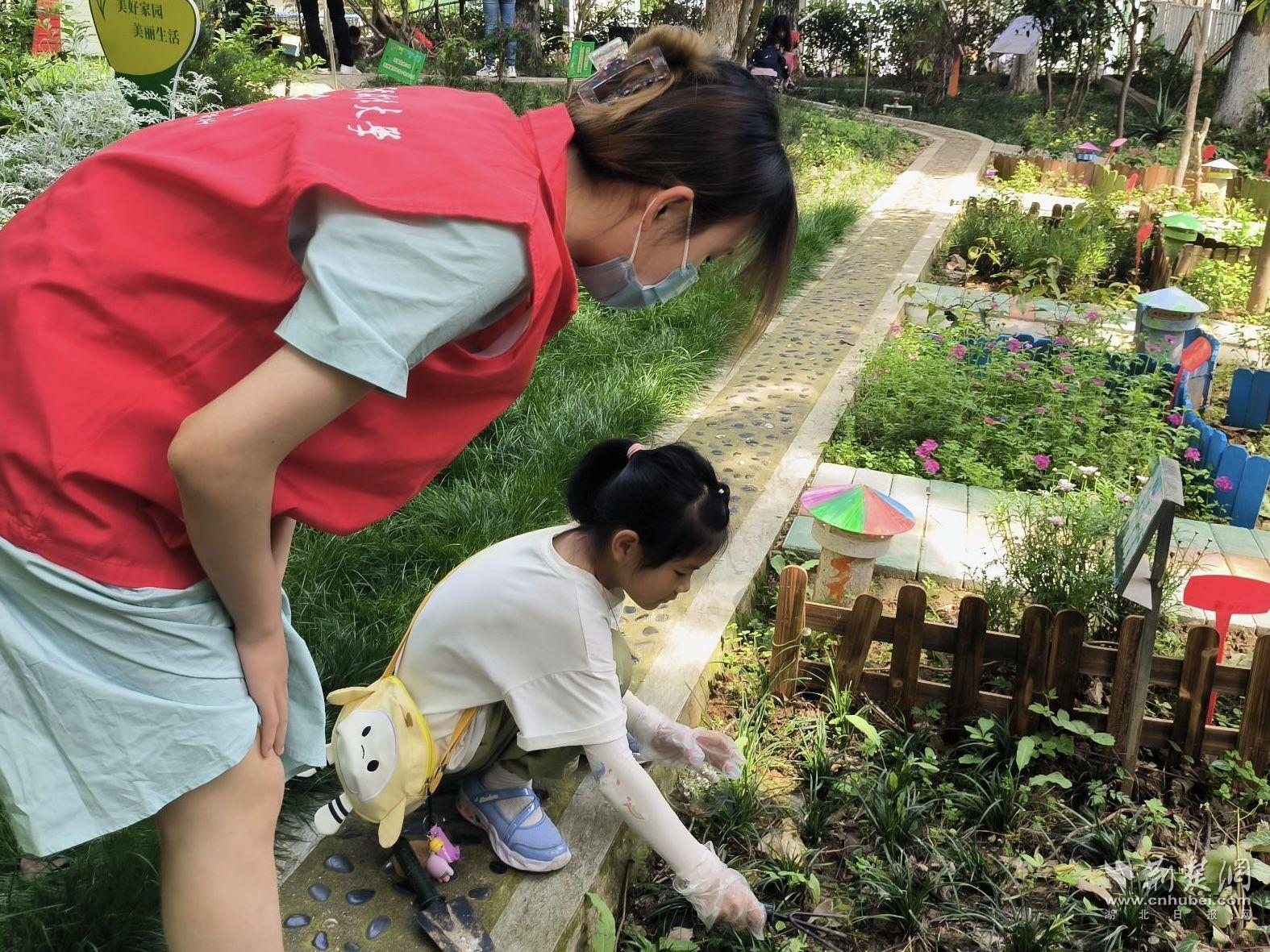 青少年有序去花园里寻找花园内的小动物名牌.JPG.JPG