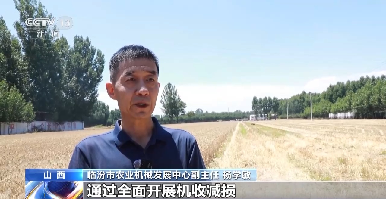 如何实现粮食持续增产_爱粮节粮传承美德_节粮减损进行时