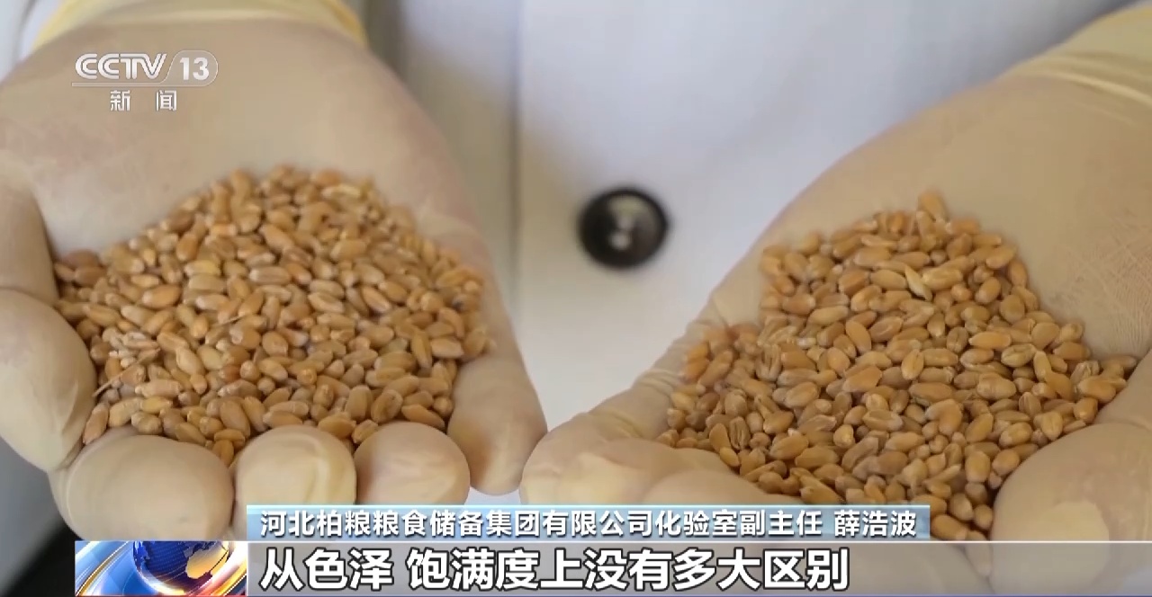 节粮减损进行时_如何实现粮食持续增产_爱粮节粮传承美德