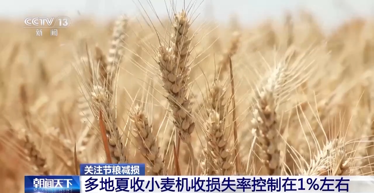 爱粮节粮传承美德_节粮减损进行时_如何实现粮食持续增产