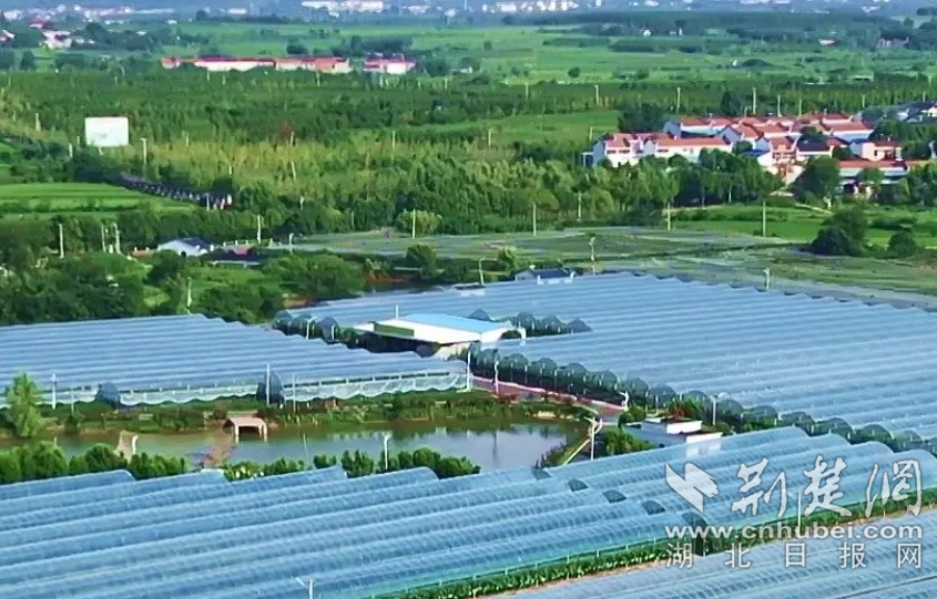 微信截图_20230605213328.png.png