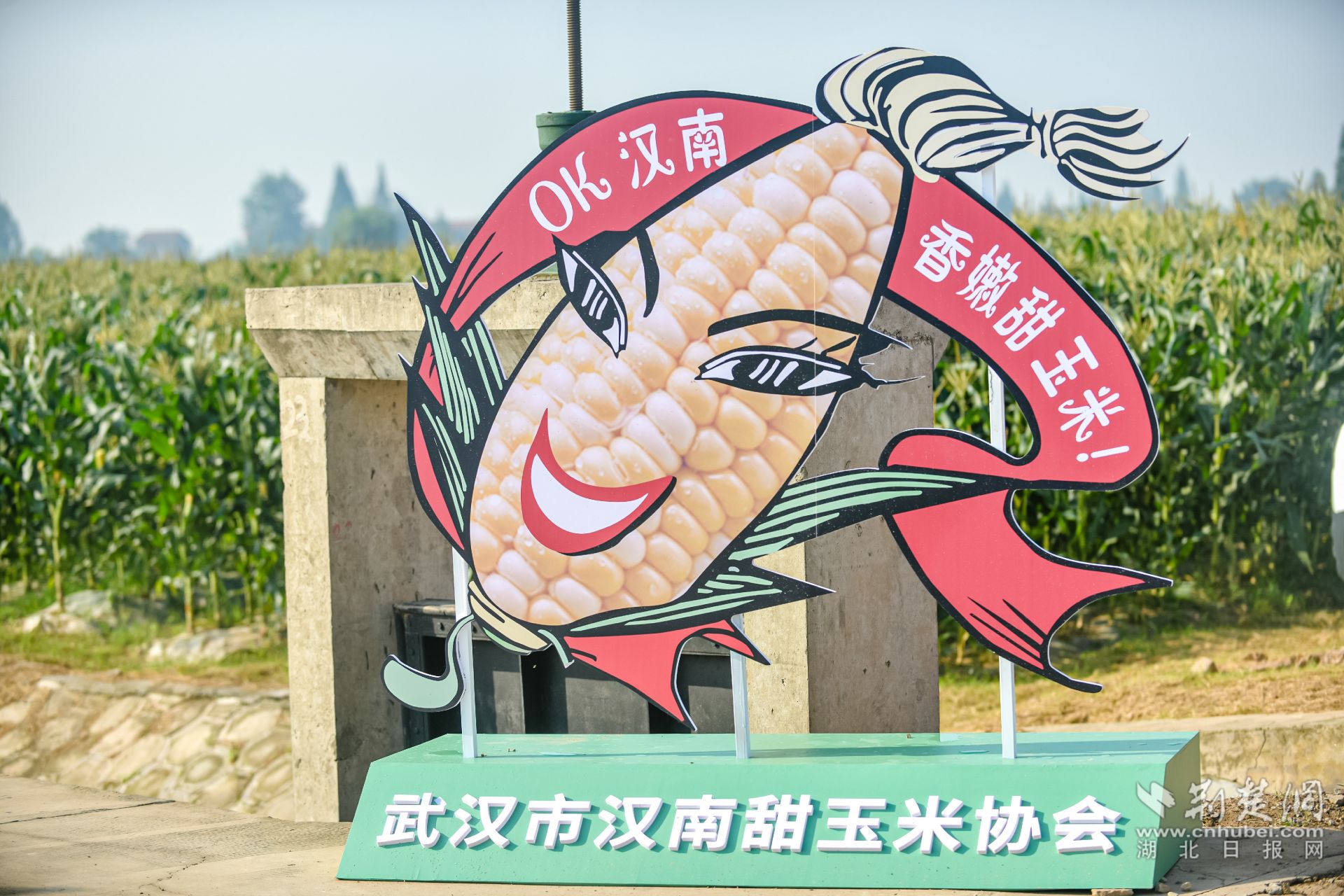 mmexport8760b65c78a61c862980a6418fccb0f8_1686301.jpeg.jpeg