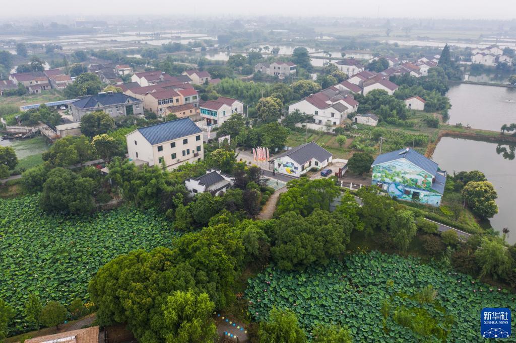 “千万工程”建设美丽乡村“美丽经济”