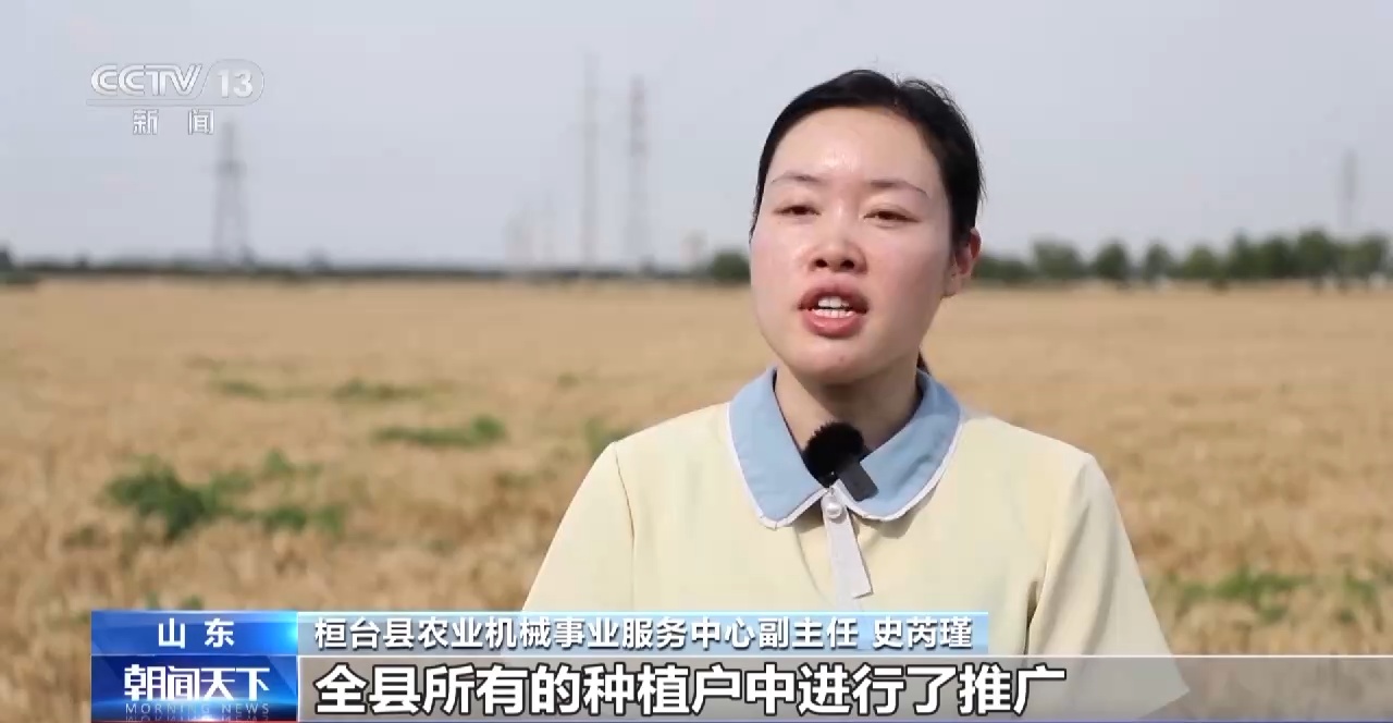 如何实现粮食持续增产_节粮减损进行时_爱粮节粮传承美德