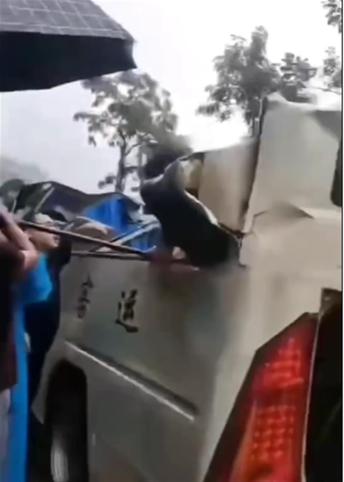 成都到重庆奉节客车_重庆一客运大巴被落石砸中_宝马车被落石砸中0